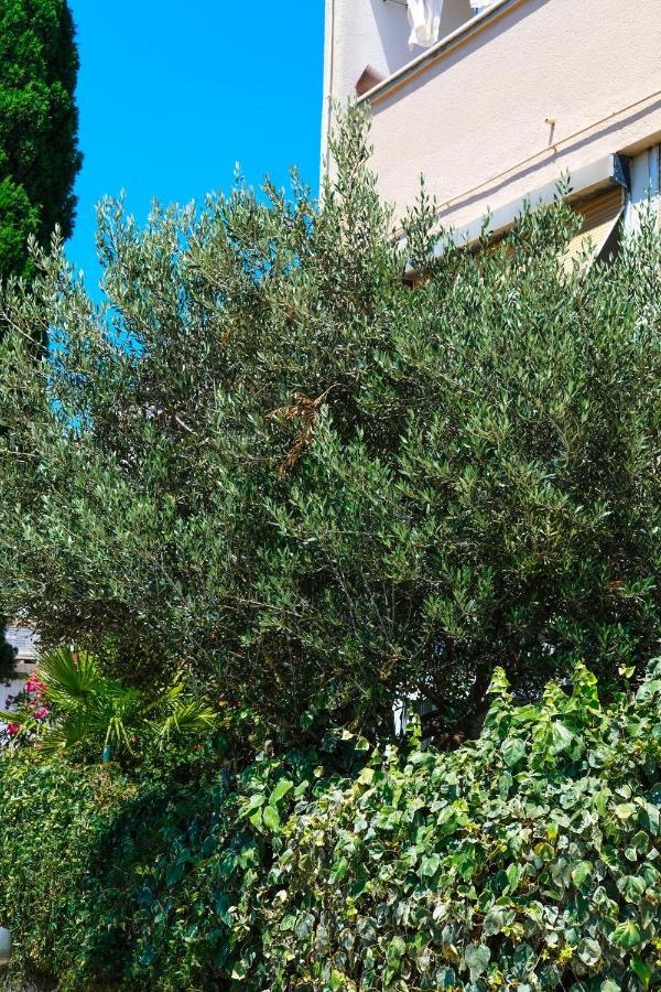 Olive Shade - Near The Beach Lägenhet