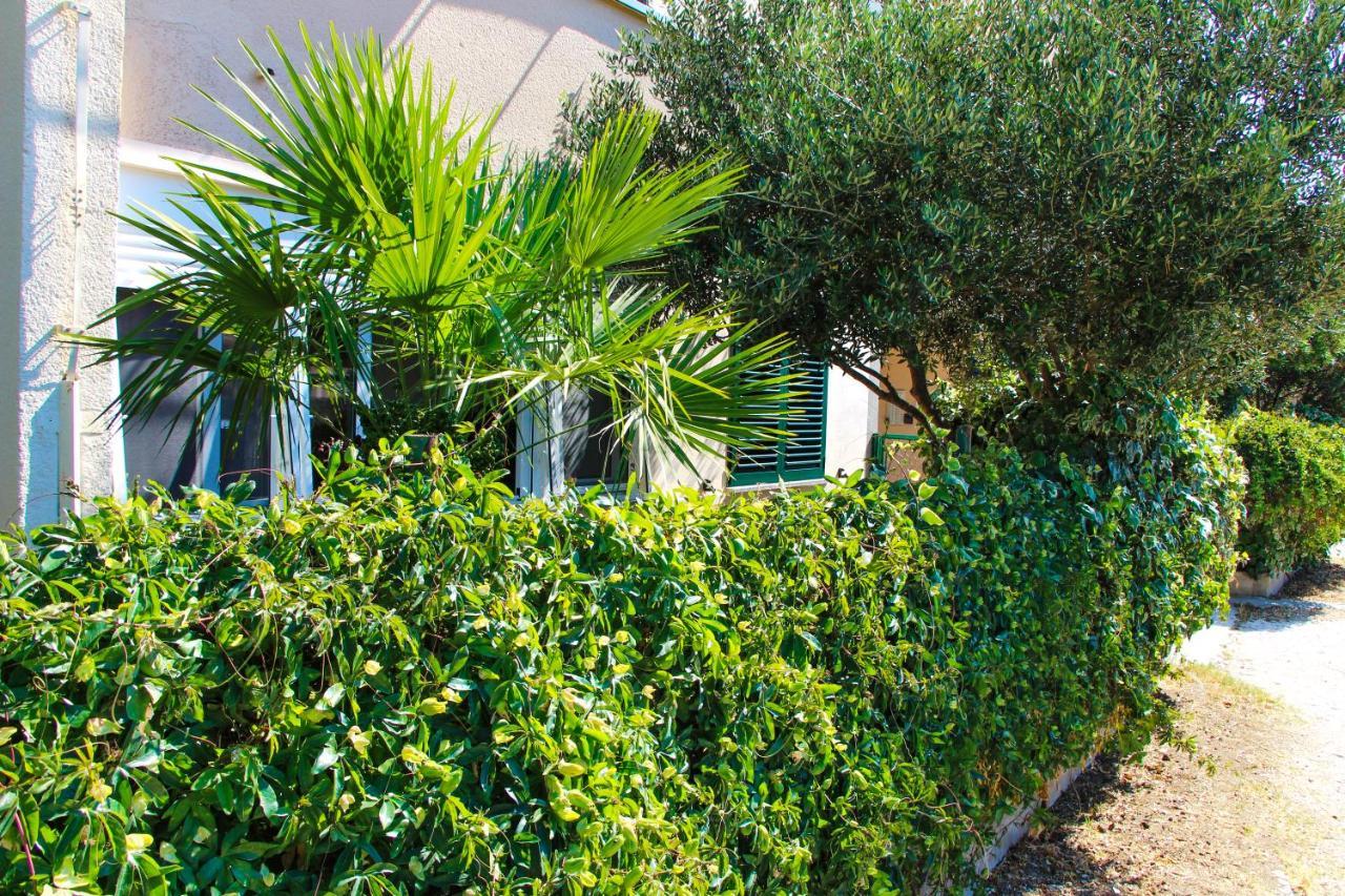 Lägenhet Olive Shade - Near The Beach Split